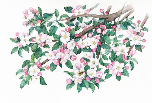 开封市民族幼儿园2019年暑期教师培训:厉兵秣马共提升厚积薄发促成长|泛亚电竞(图3) 泛亚电竞平台